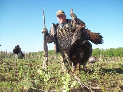 Butch Turkey Harvest