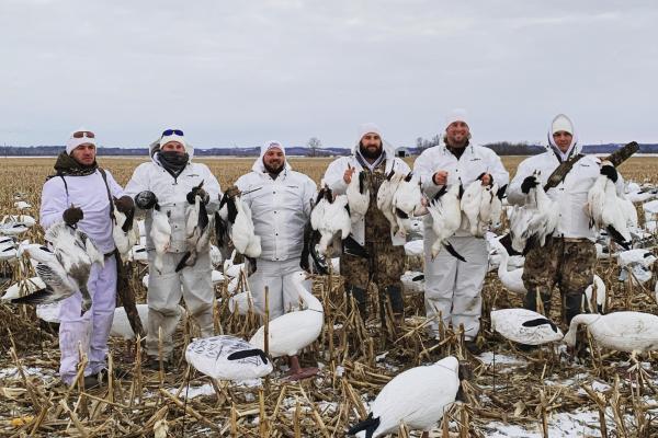 Snow Goose Hunt 2020